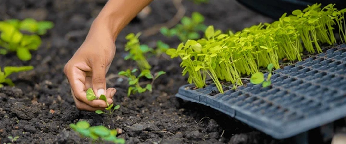 Crop Selection & Land Suitability