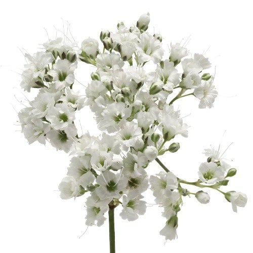 Crystal Diamond Image