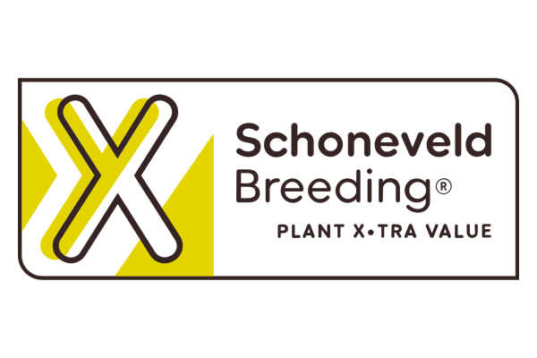 Schoneveld Breeding