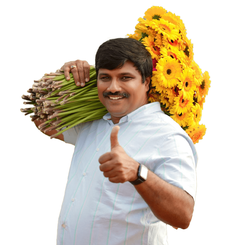 Srikanth Bollapally's image